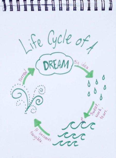 Life Cycle of a Dream